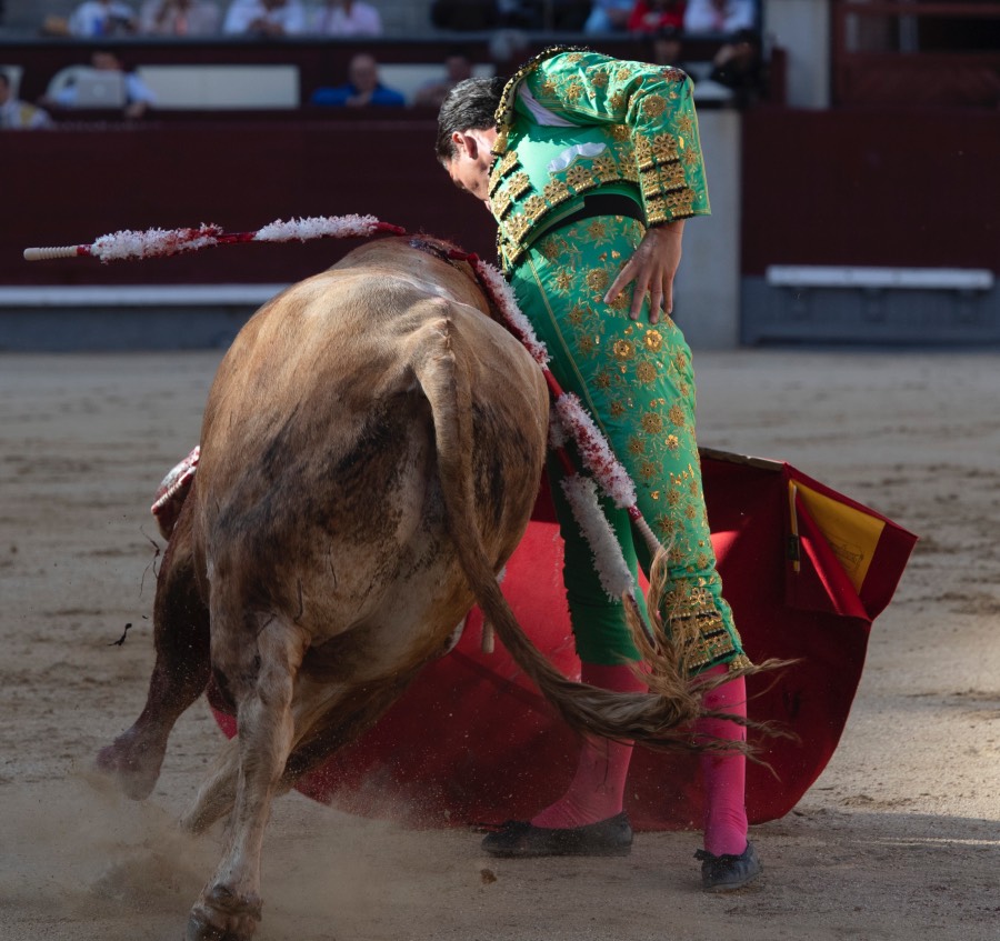 Madrid, sábado 25 de mayo de 2019