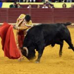 Campo Pequeno, sábado 18 de mayo de 2019