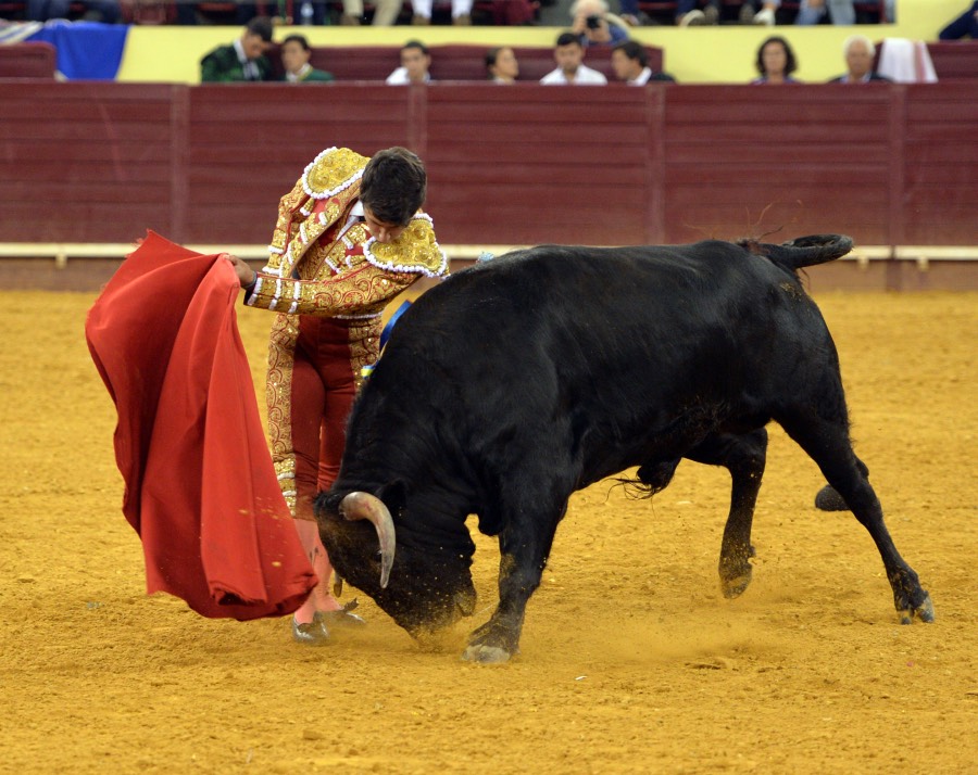 Campo Pequeno, sábado 18 de mayo de 2019
