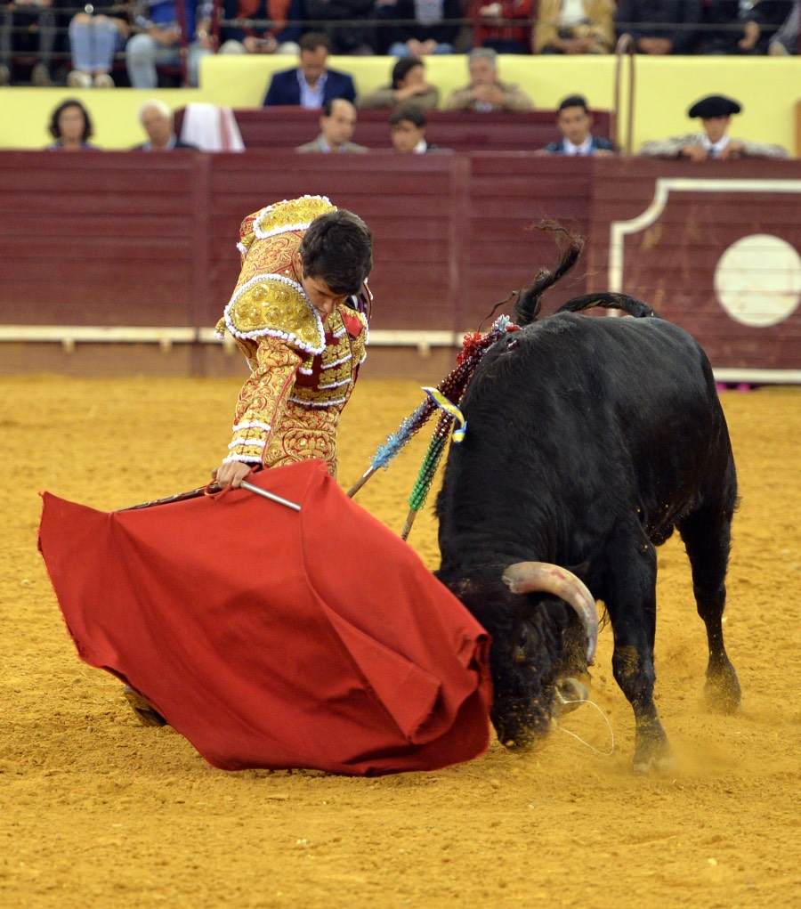 Campo Pequeno, sábado 18 de mayo de 2019