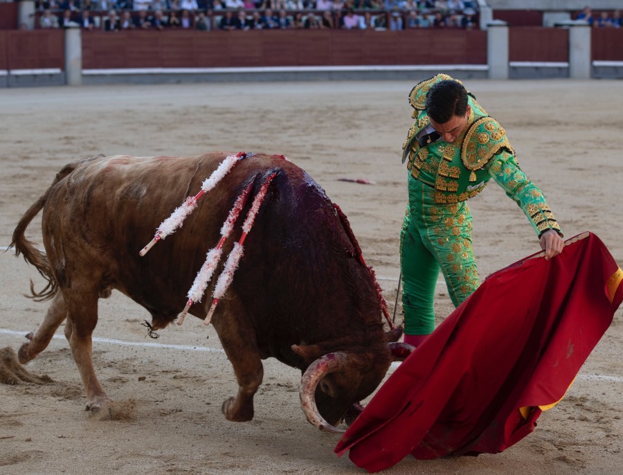 Madrid, sábado 25 de mayo de 2019