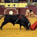Campo Pequeno, sábado 18 de mayo de 2019