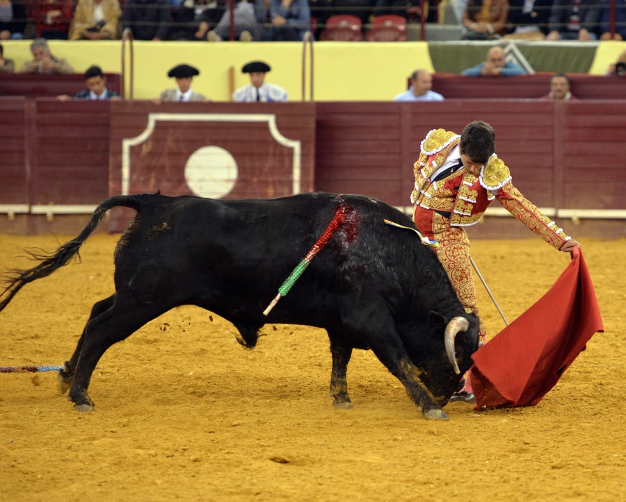 Campo Pequeno, sábado 18 de mayo de 2019