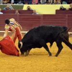 Campo Pequeno, sábado 18 de mayo de 2019