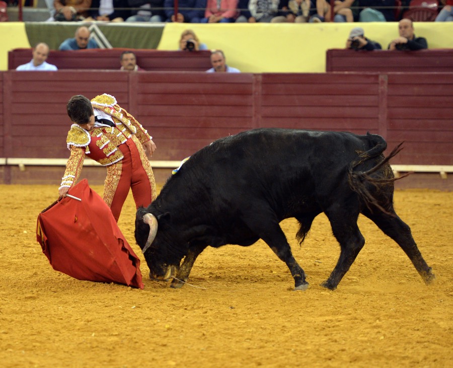 Campo Pequeno, sábado 18 de mayo de 2019