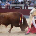 Madrid, sábado 25 de mayo de 2019