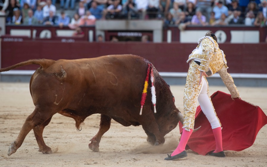 Madrid, sábado 25 de mayo de 2019