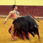 Campo Pequeno, sábado 18 de mayo de 2019