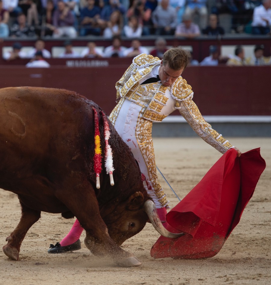 Madrid, sábado 25 de mayo de 2019