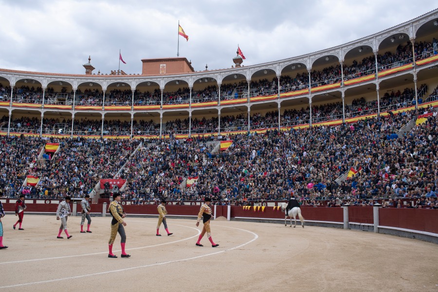 Madrid, 17 de mayo de 2019