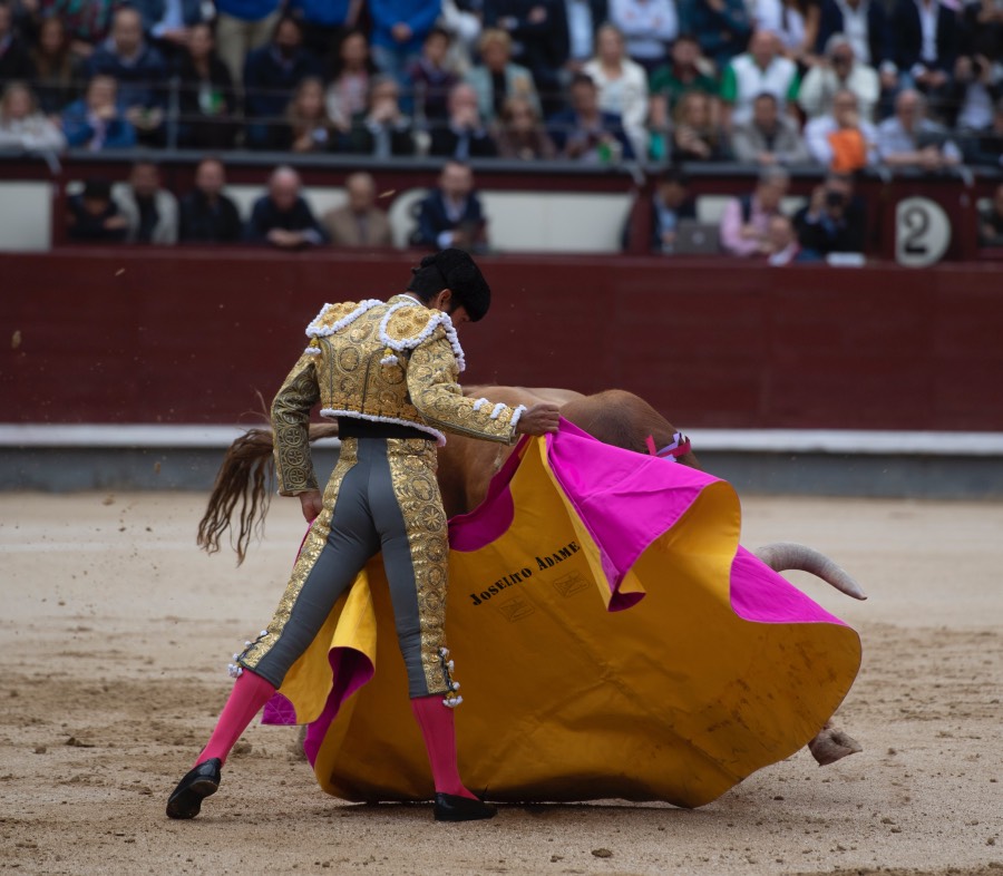 Madrid, 17 de mayo de 2019