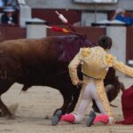 Madrid, sábado 25 de mayo de 2019