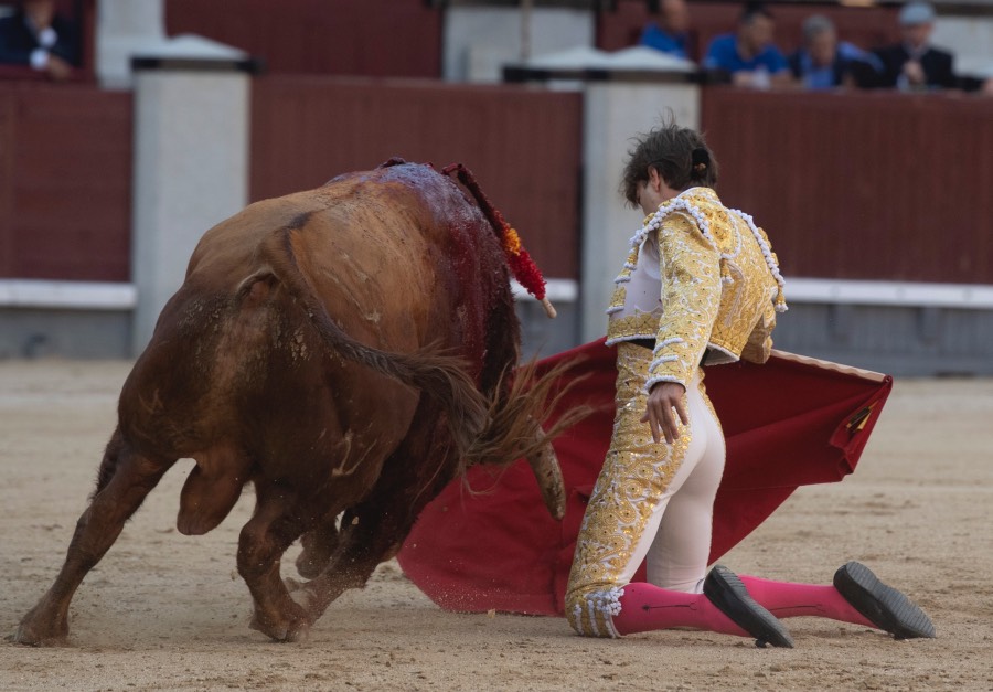 Madrid, sábado 25 de mayo de 2019