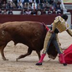 Madrid, 17 de mayo de 2019