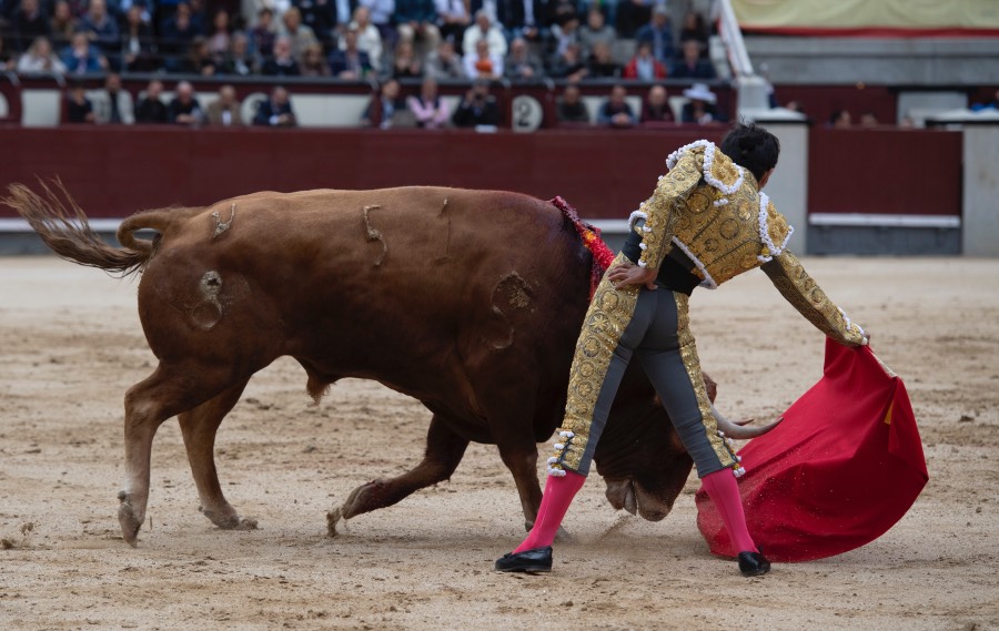 Madrid, 17 de mayo de 2019