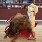 Madrid, sábado 25 de mayo de 2019