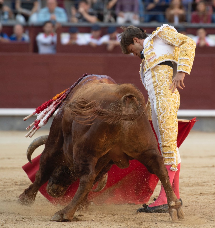Madrid, sábado 25 de mayo de 2019