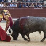 Madrid, sábado 25 de mayo de 2019