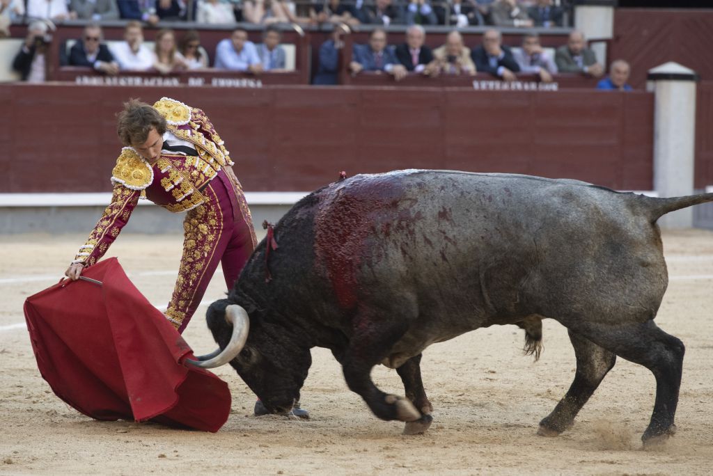 Madrid, sábado 25 de mayo de 2019