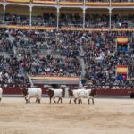 Madrid, 17 de mayo de 2019