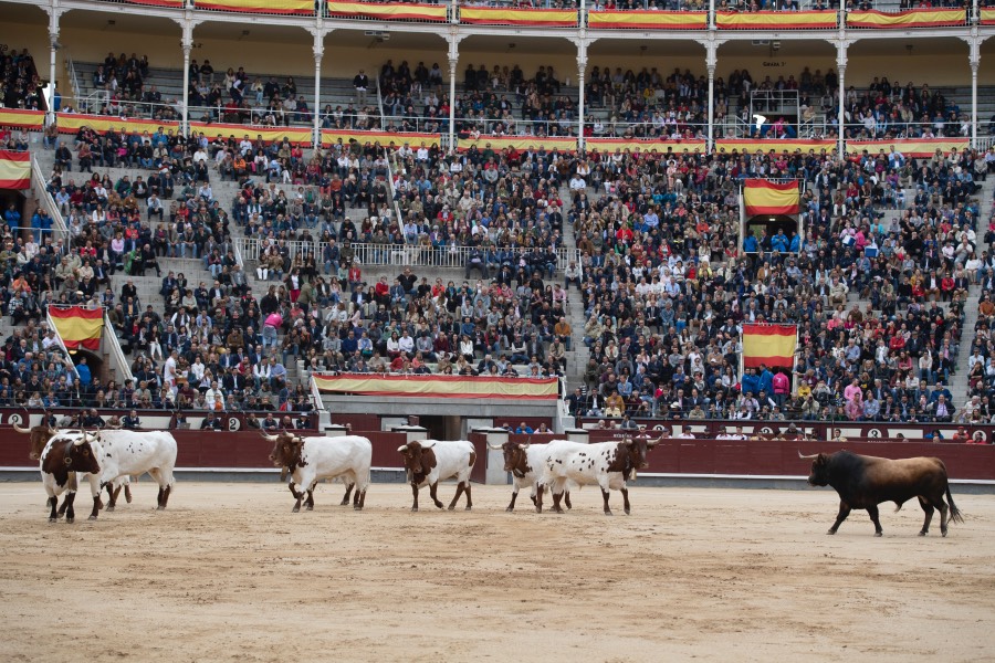 Madrid, 17 de mayo de 2019
