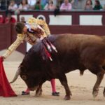 Madrid, sábado 25 de mayo de 2019