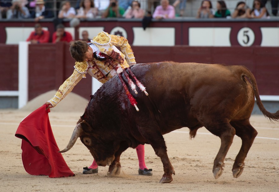 Madrid, sábado 25 de mayo de 2019