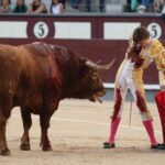 Madrid, sábado 25 de mayo de 2019