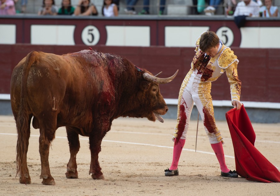 Madrid, sábado 25 de mayo de 2019