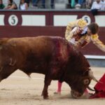 Madrid, sábado 25 de mayo de 2019