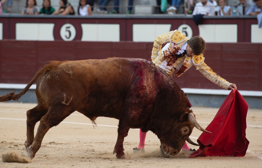 Madrid, sábado 25 de mayo de 2019