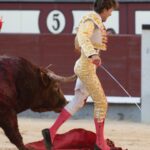 Madrid, sábado 25 de mayo de 2019