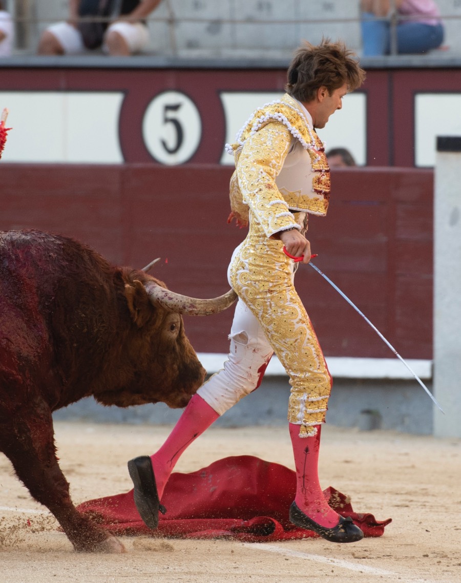 Madrid, sábado 25 de mayo de 2019