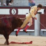 Madrid, sábado 25 de mayo de 2019