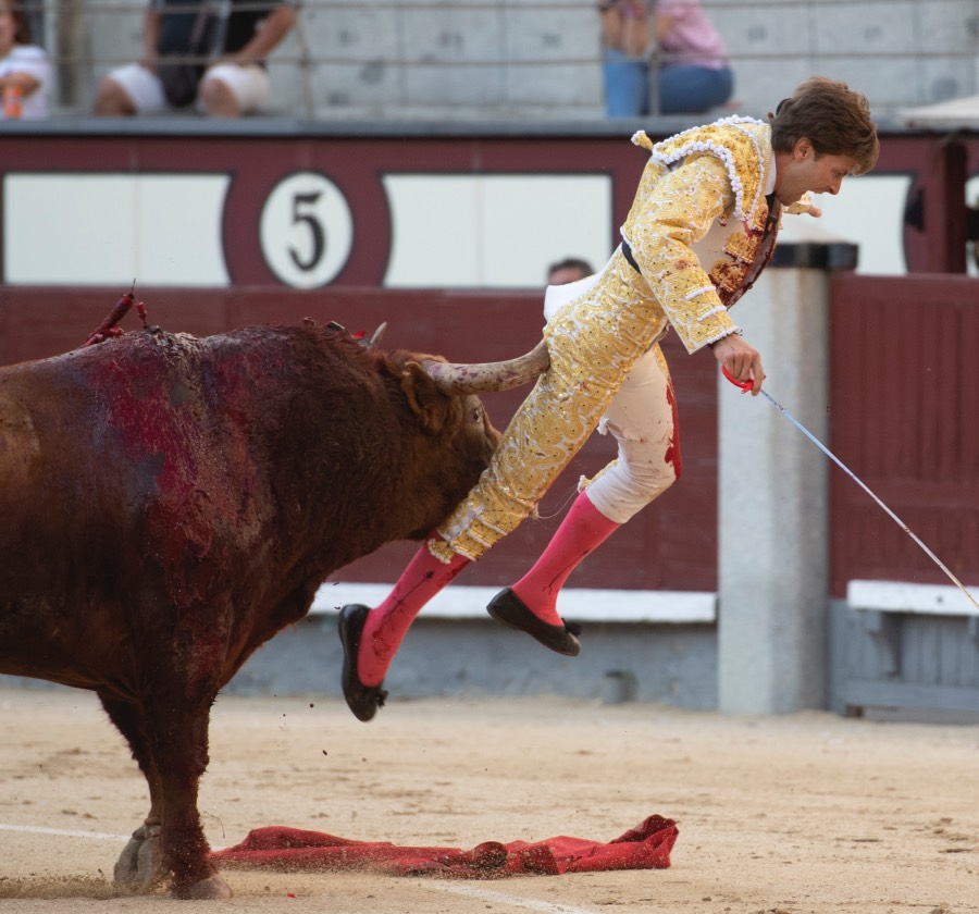 Madrid, sábado 25 de mayo de 2019