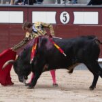 Madrid, 17 de mayo de 2019