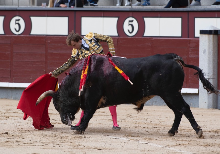 Madrid, 17 de mayo de 2019