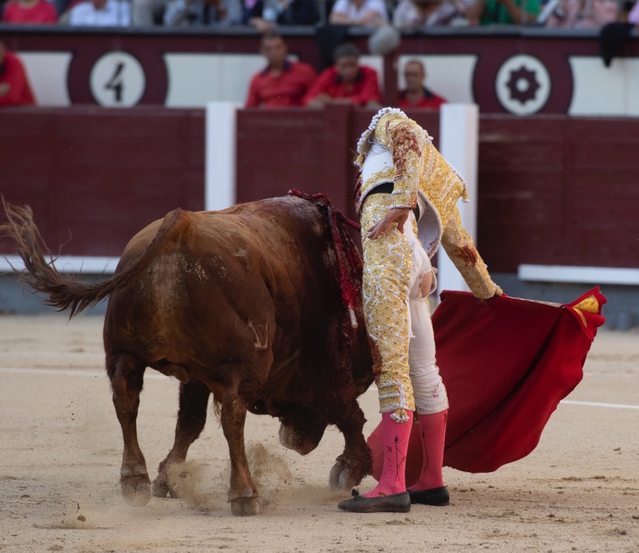 Madrid, sábado 25 de mayo de 2019