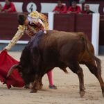 Madrid, sábado 25 de mayo de 2019