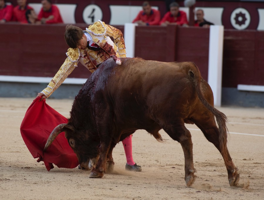 Madrid, sábado 25 de mayo de 2019