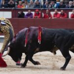 Madrid, 17 de mayo de 2019