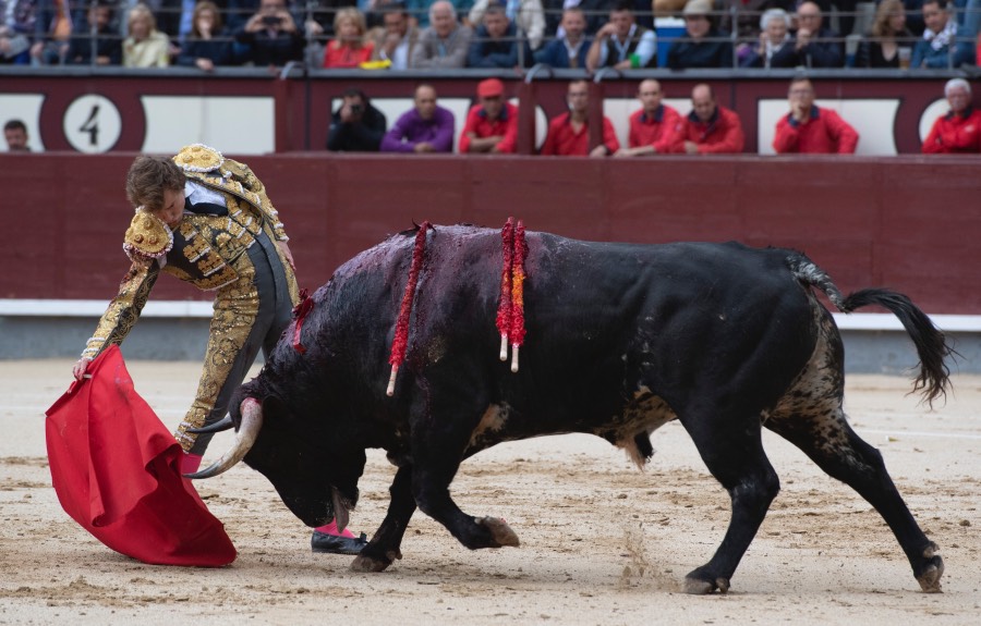 Madrid, 17 de mayo de 2019