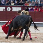 Madrid, 17 de mayo de 2019