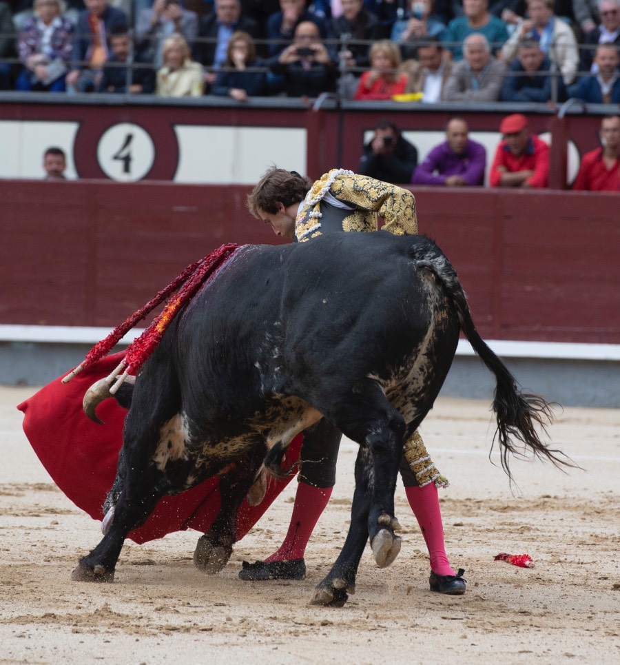Madrid, 17 de mayo de 2019