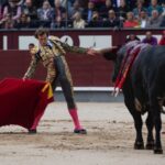 Madrid, 17 de mayo de 2019