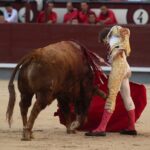 Madrid, sábado 25 de mayo de 2019