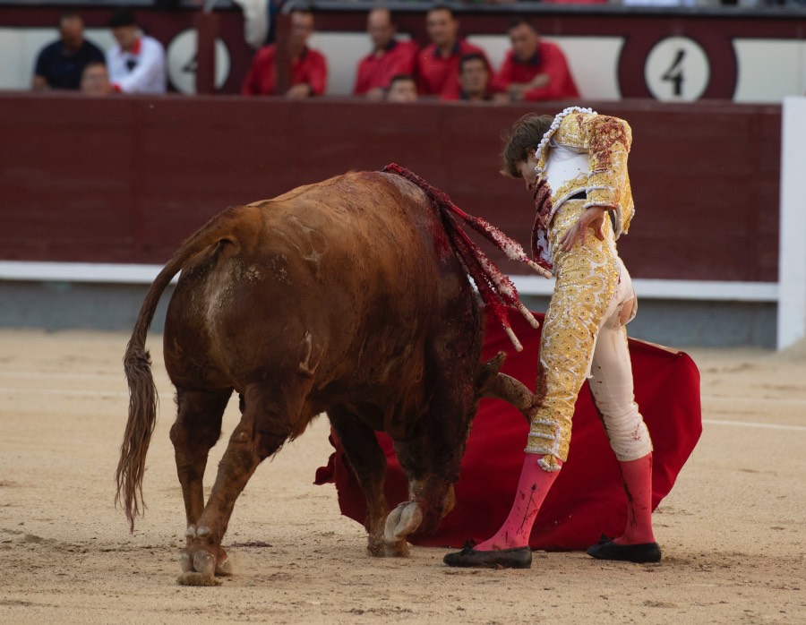 Madrid, sábado 25 de mayo de 2019