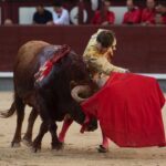 Madrid, sábado 25 de mayo de 2019