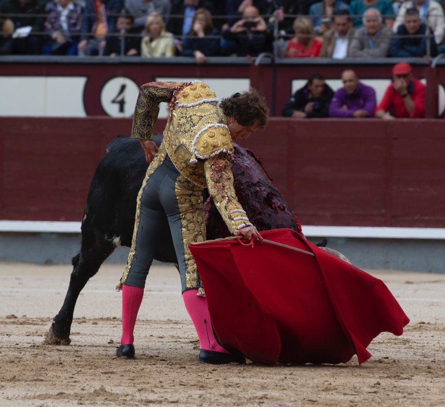 Madrid, 17 de mayo de 2019