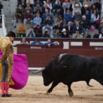 Madrid, 17 de mayo de 2019